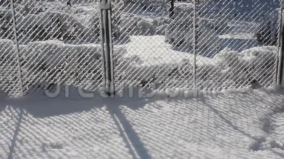 围墙附近的冬季景象视频的预览图