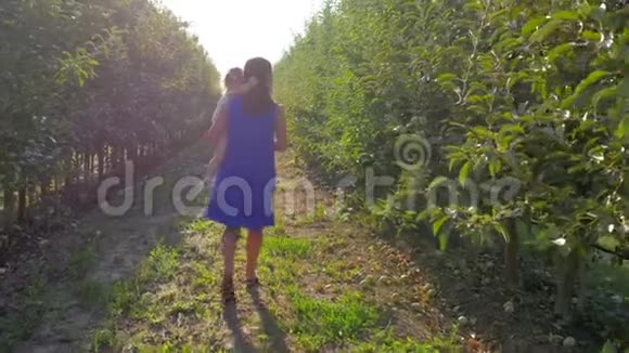 水果收成快乐的妈妈带着小女孩在明亮的阳光下在苹果园的一排排树中间收获视频的预览图