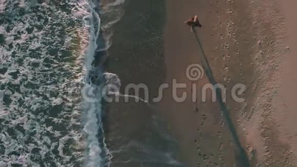 在海边的海边有电话散步的快乐女孩视频的预览图
