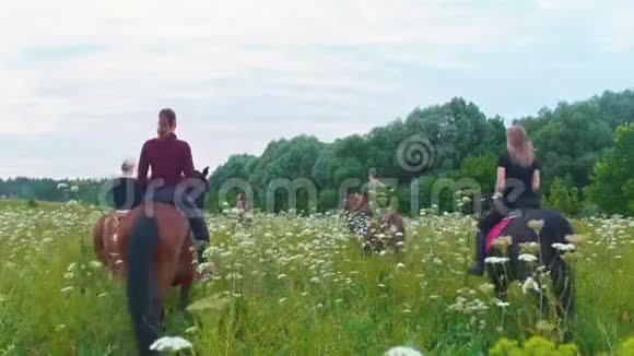 骑马的后视群带着鲜花走过草地视频的预览图