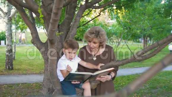 小男孩和奶奶在公园的树枝上看书视频的预览图