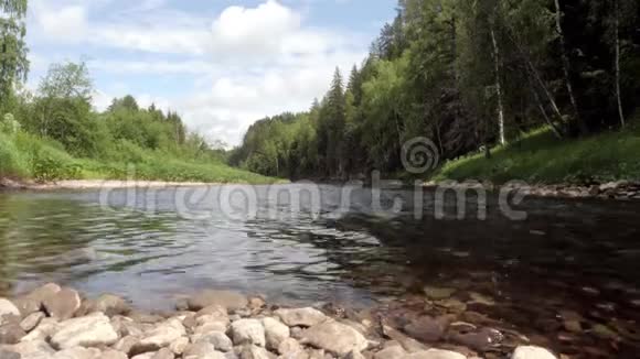 在绿色森林的背景上流动的山河库存录像山间河流平静而充满视频的预览图