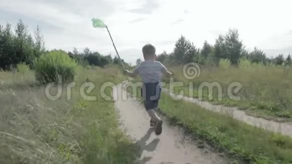 一个快乐的小男孩带着一张蝴蝶网跑视频的预览图