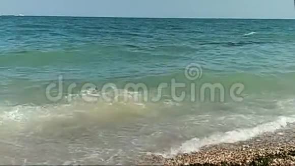 海上海浪石滩鹅卵石视频的预览图