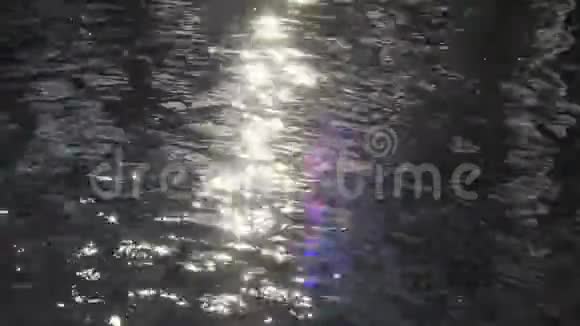 阳光照射在小溪的表面视频的预览图