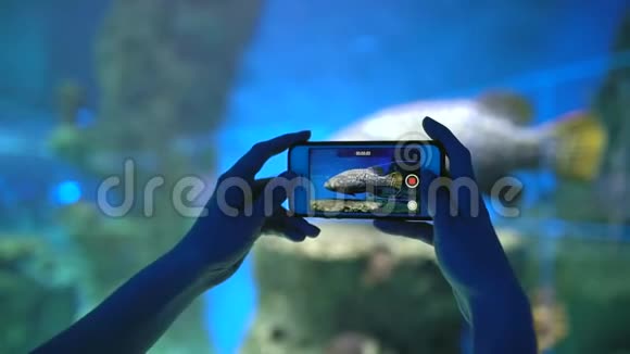 海洋馆女孩男孩人的手用手机制作照片和视频在智能手机上拍照视频的预览图
