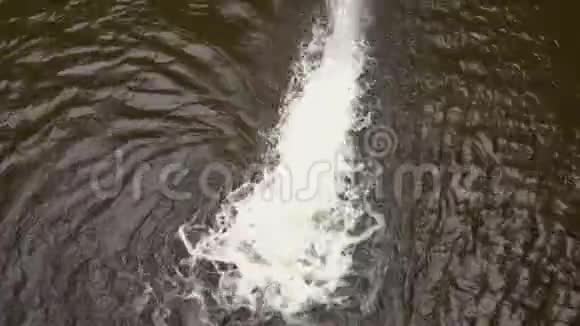 强大的水流从大坝的百叶窗中落下视频的预览图