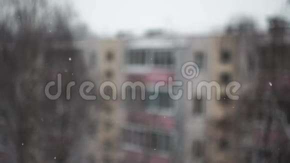 下雪的日子窗外的雪落在一棵模糊的树上视频的预览图