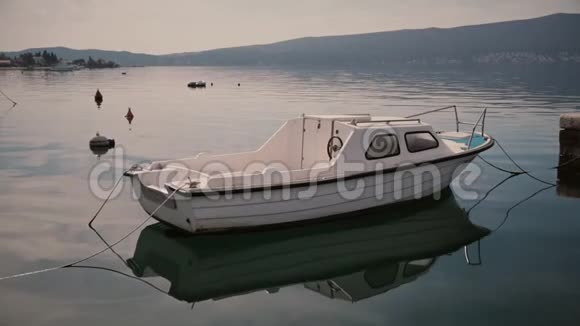 停在码头的摩托艇视频的预览图