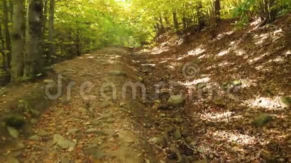 路上的石头喀尔巴阡山脉的山径视频的预览图
