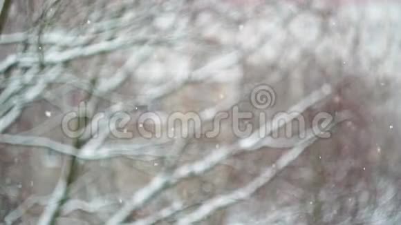 下雪的日子窗外的雪落在一棵模糊的树上视频的预览图
