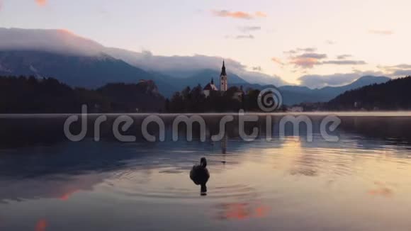 小岛上的天鹅湖和圣玛丽教堂欧洲斯洛文尼亚布莱德视频的预览图