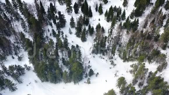 人们在冬季森林的雪坡上滑雪鸟瞰录像冬季假期最高视野视频的预览图
