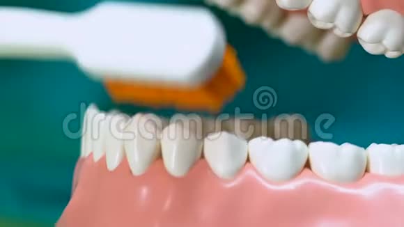 专业牙医教授如何正确清洁牙齿口腔卫生视频的预览图