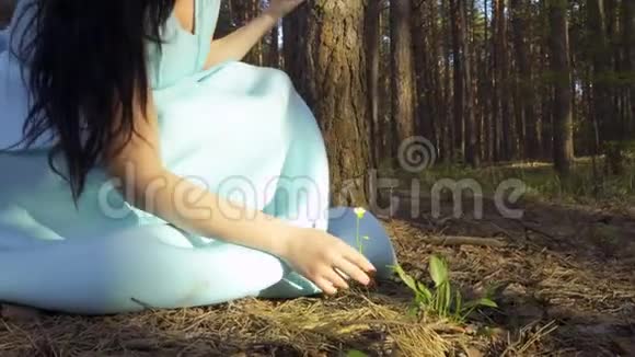 穿着蓝色裙子的美女在森林里采花采草视频的预览图