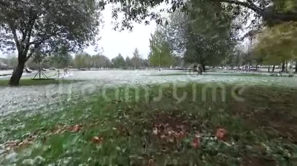 第一场雪落在公园里视频的预览图
