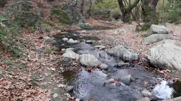 水在河流中流动溪穿岩叶林中秋意概念视频的预览图