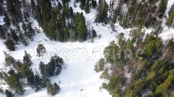 人们在冬季森林的雪坡上滑雪鸟瞰录像冬季假期最高视野视频的预览图