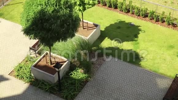 阁楼的绿色草坪和树视频的预览图