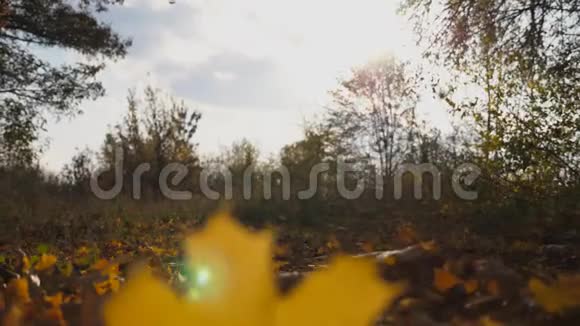 黑色SUV在公园的黄叶上快速穿过小巷五颜六色的秋叶从车轮下飞出来视频的预览图