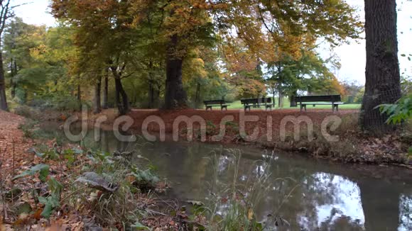秋天在慕尼黑巴伐利亚一个受欢迎的公园视频的预览图