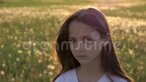 一个长发可爱的小女孩的肖像蒲公英春天的田野背景视频的预览图