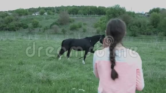 一个年轻的女人在智能手机上起飞一匹马被绑在田野里的牧场上乡下漂亮的姑娘视频的预览图