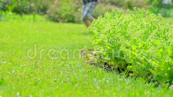 赤脚男孩跑在新鲜的绿草慢动作孩子玩得开心夏天大自然快乐的童年视频的预览图