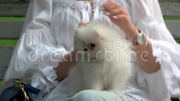 女人伸展她的白色毛茸茸的狗视频的预览图