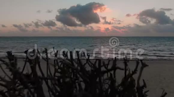 墨西哥坎昆附近日出时的热带海滩和海洋视频的预览图