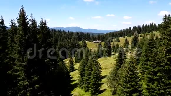 保加利亚山区森林的空中特写视频的预览图