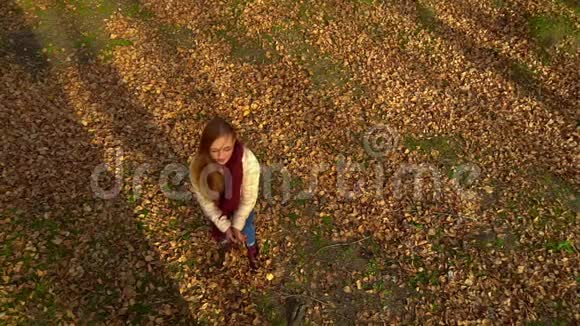秋天公园里一个漂亮的女孩用手收集树叶然后扔出去视频的预览图