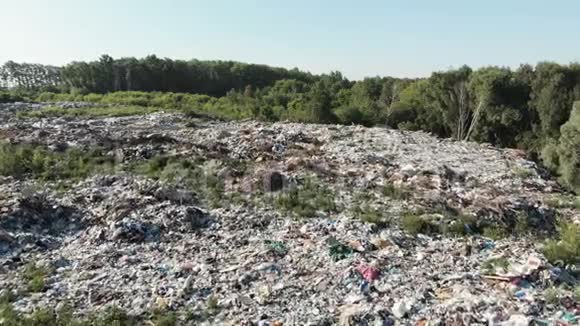 污染概念垃圾堆放在垃圾堆或填埋场环境污染生态问题在附近视频的预览图