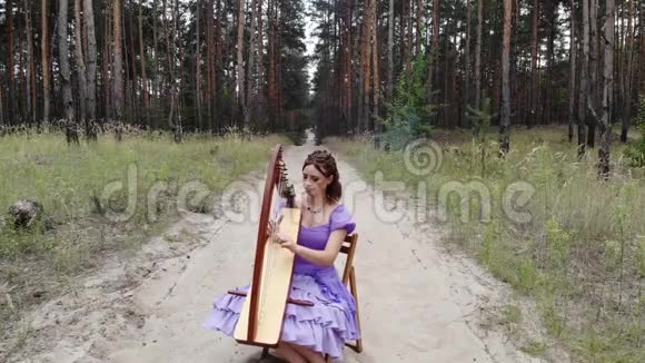 女竖琴手坐在林道弹竖琴视频的预览图