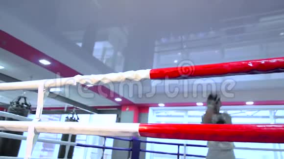 拳击场上的男子拳击生活方式运动视频的预览图