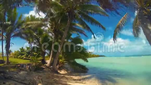 库克热带海滩椰子棕榈树的时间推移视频的预览图