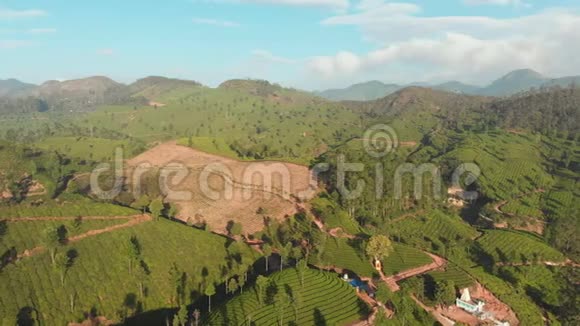蒙纳市附近无人机茶园的鸟瞰图纳拉坦尼村喀拉拉邦印度视频的预览图