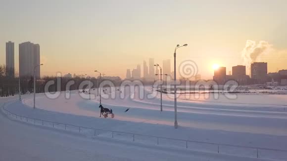 在河马场的冬日寒冷的都市景象视频的预览图