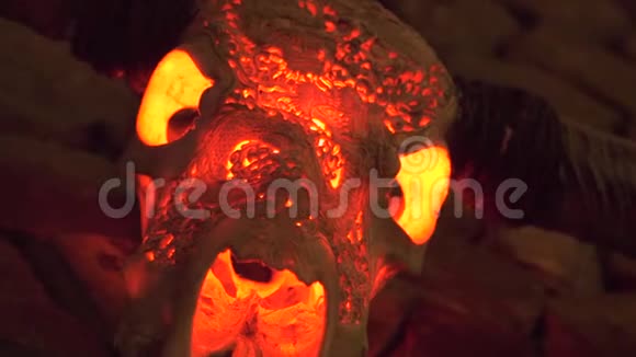 骷髅公牛的角和红光从里面挂在石墙上以供内部设计狩猎奖杯动物头骨视频的预览图