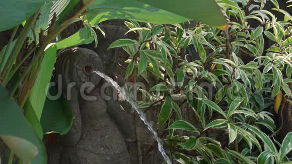 在阳光明媚的热带植物背景下水从亚洲石像流出视频的预览图