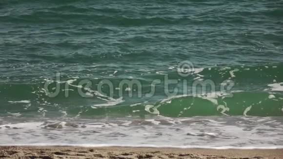 夏季时海浪在沙质海岸上翻滚形成全景慢动作全高清视频240fps1080p视频的预览图