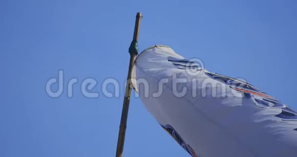 鲤鱼流光在蓝蓝的天空后在茨木白天阳光的特写手持视频的预览图