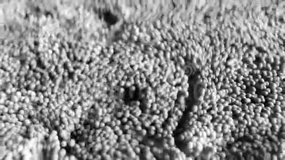 4K抽象旋球分子视频的预览图