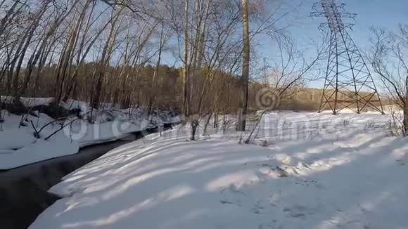 深林中的冬日视频的预览图