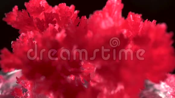 框架内实验室内生长的晶体红色的水晶是明亮而美丽的在黑色的背景上视频的预览图