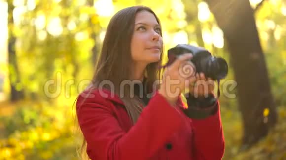 美丽的女孩带着相机走过秋天的森林拍照市外周末视频的预览图