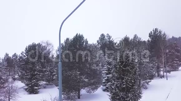 落雪寂寞路灯剪辑在针叶林公园的道路上一盏盏简单的路灯照着它的顶部视频的预览图