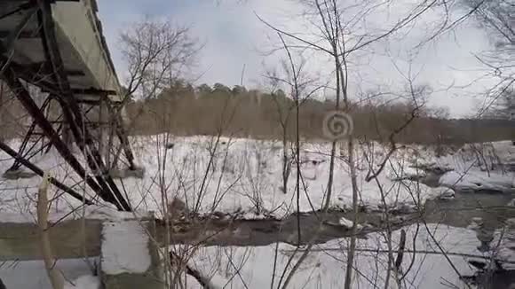 深林中的冬日视频的预览图