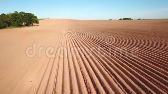 农业景观可耕地农作物田机械化种植后的马铃薯田视频的预览图