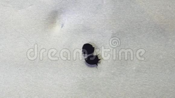 黑色的圆形油滴表面上用滴油黑墨特写油中的墨水不会模糊保持圆形视频的预览图